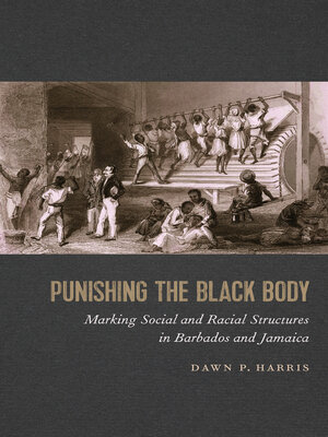 cover image of Punishing the Black Body